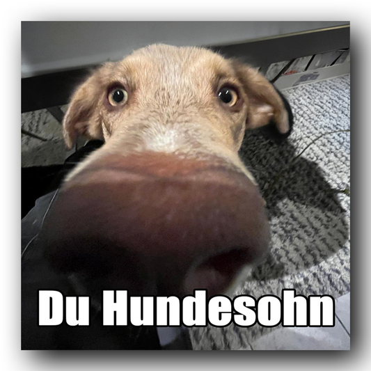 "Du Hundesohn" - Sticker